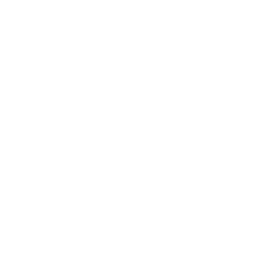 Logo kompanije Auto Finesse